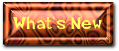 collection de bouton 20 - whatsnew